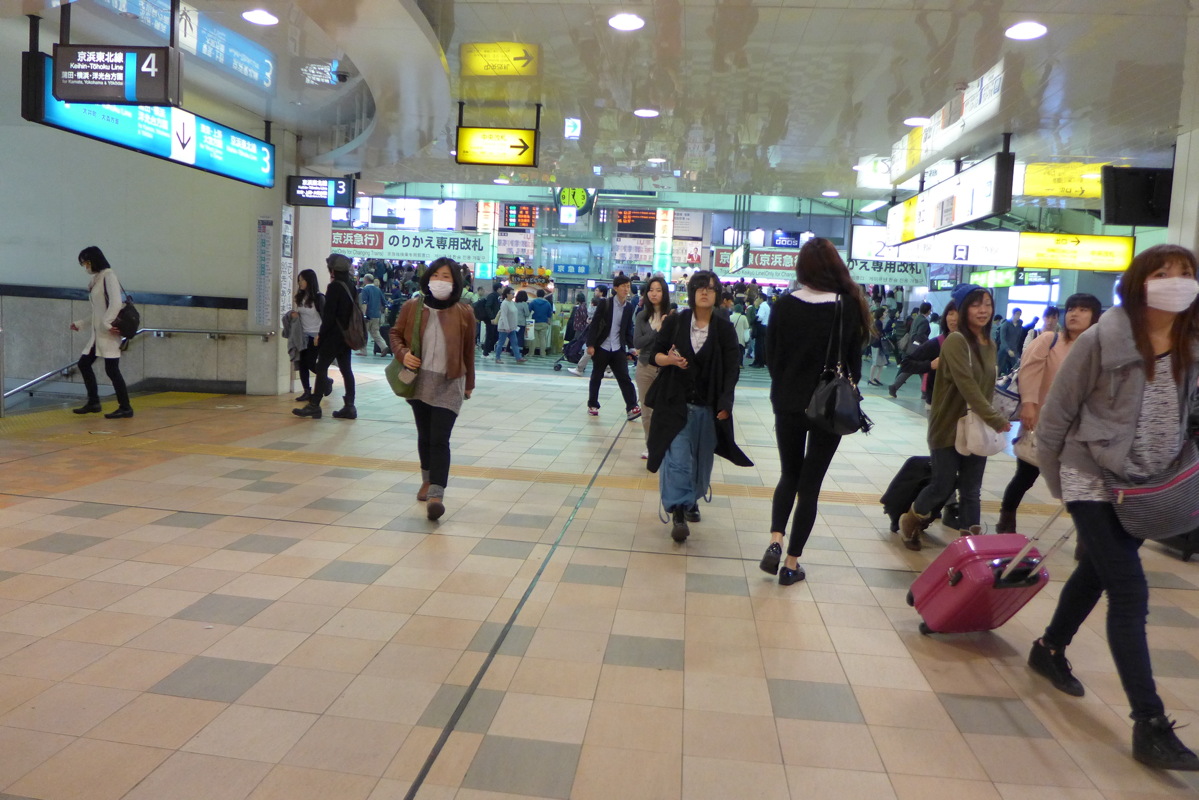 p1010395.jpg