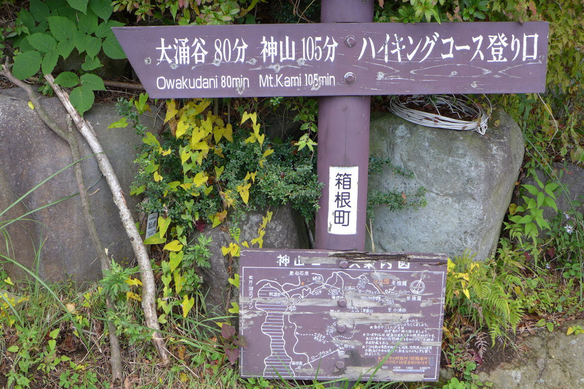 p1010416.jpg