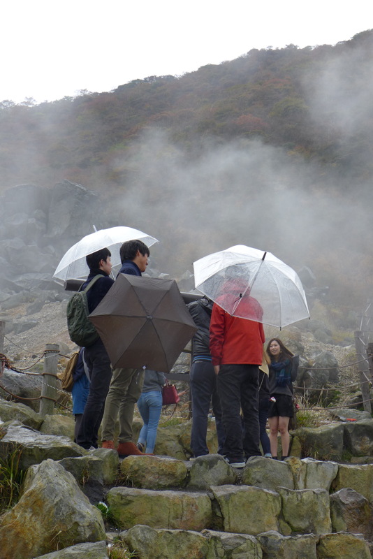 p1010429.jpg