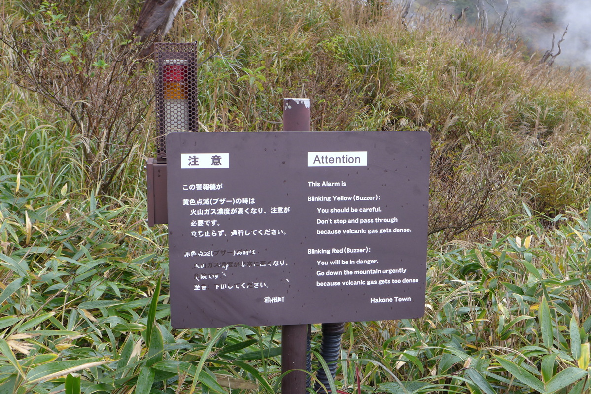 p1010437.jpg
