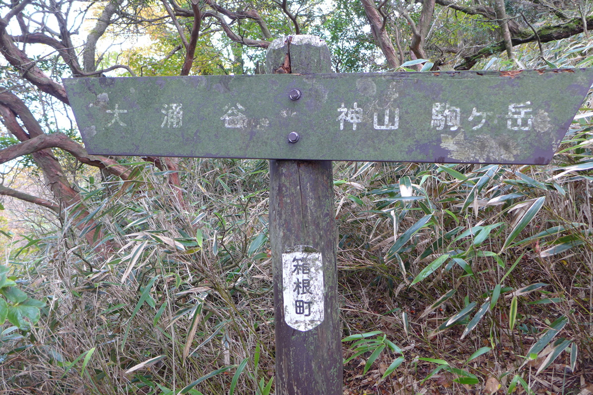 p1010442.jpg