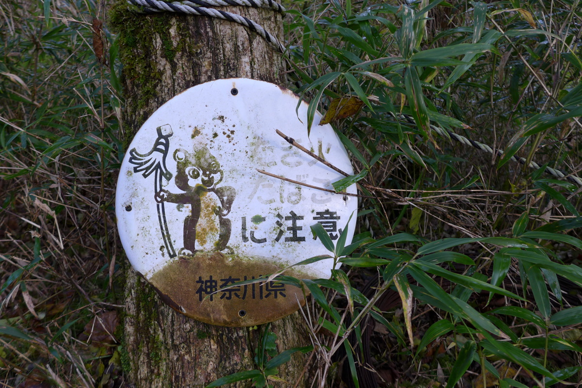 p1010463.jpg