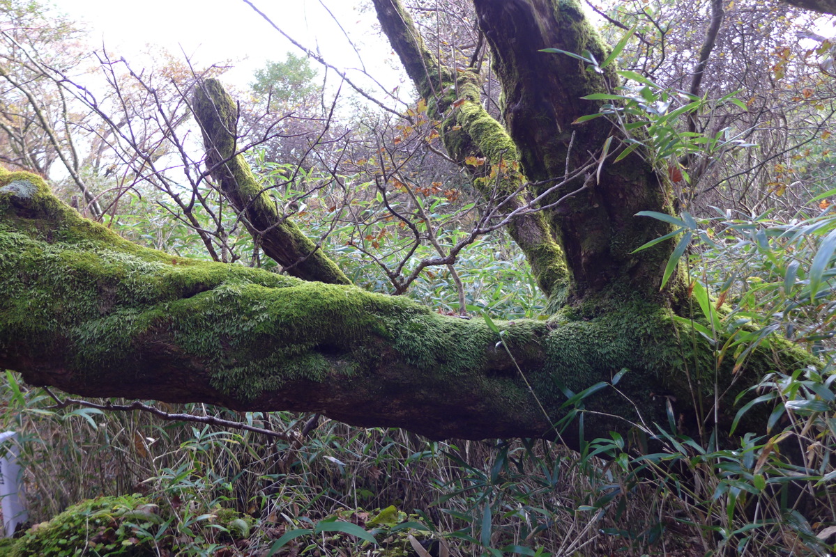 p1010464.jpg