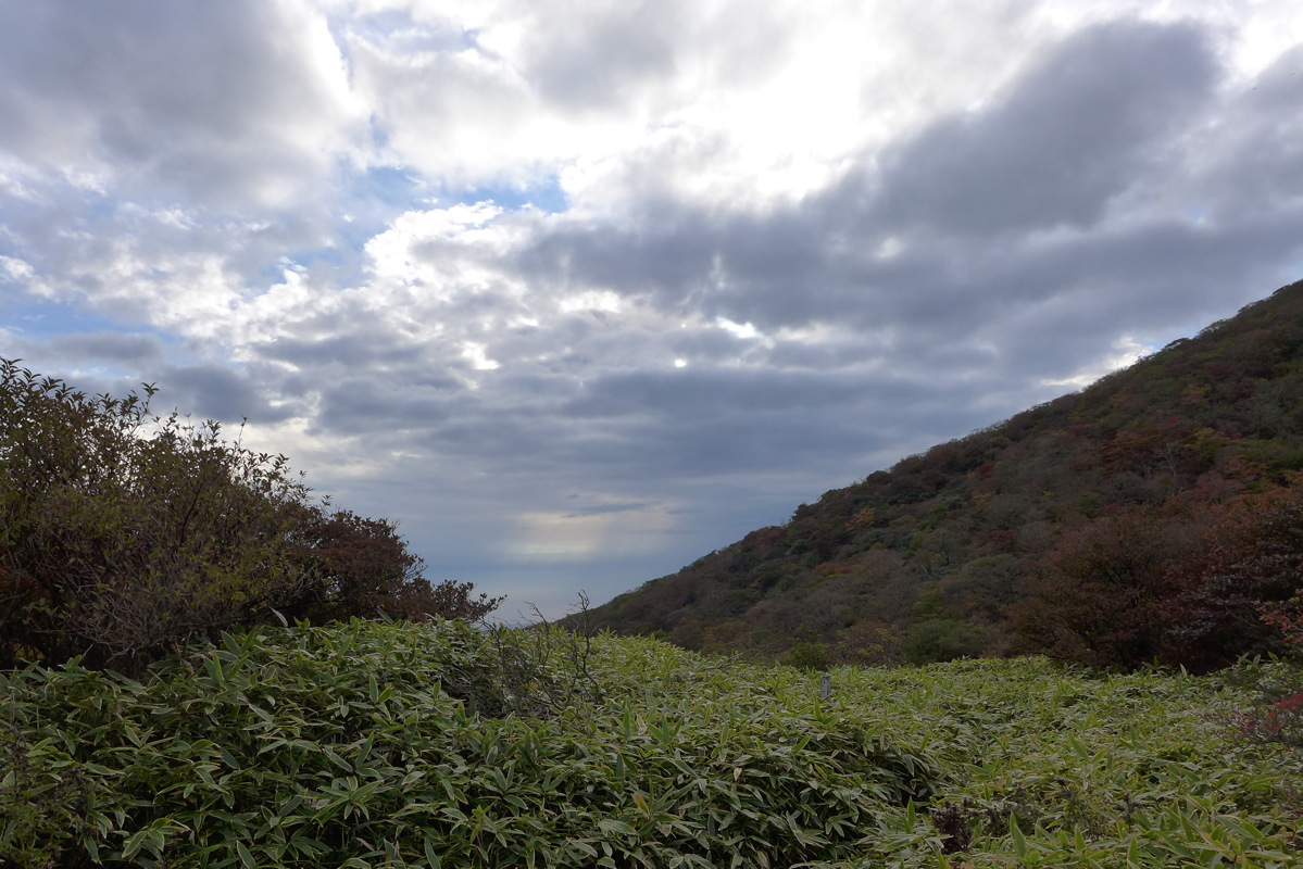 p1010469.jpg