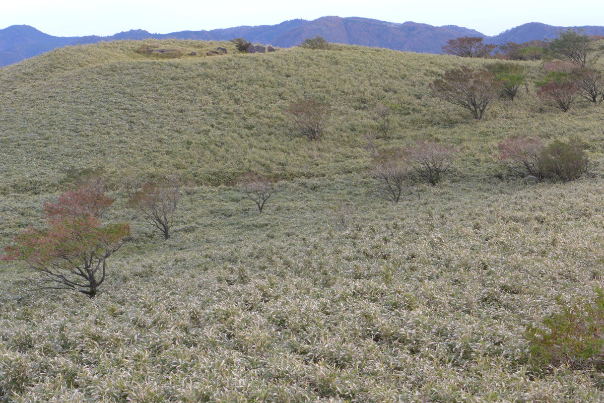 p1010476.jpg