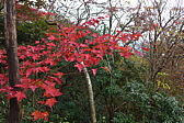 p1010452.jpg