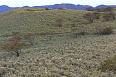 p1010476.jpg
