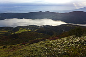 p1010478.jpg