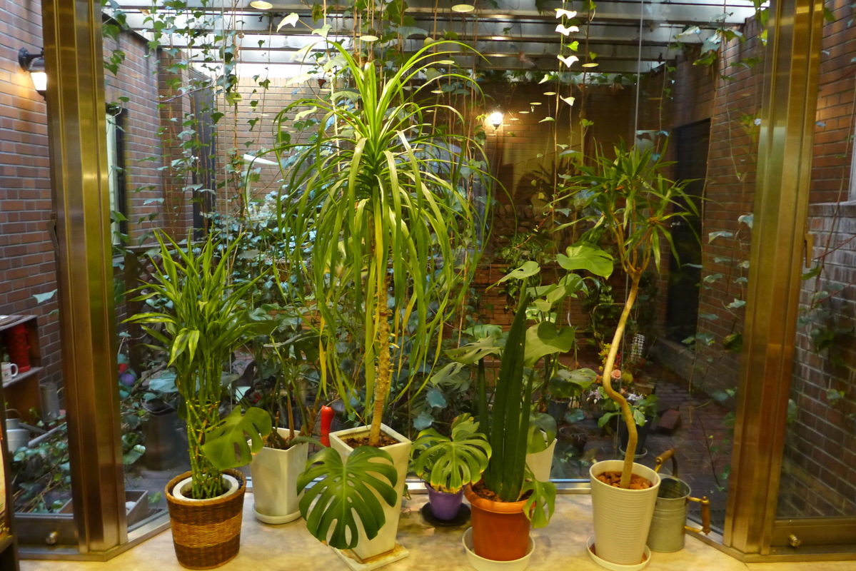p1010505.jpg