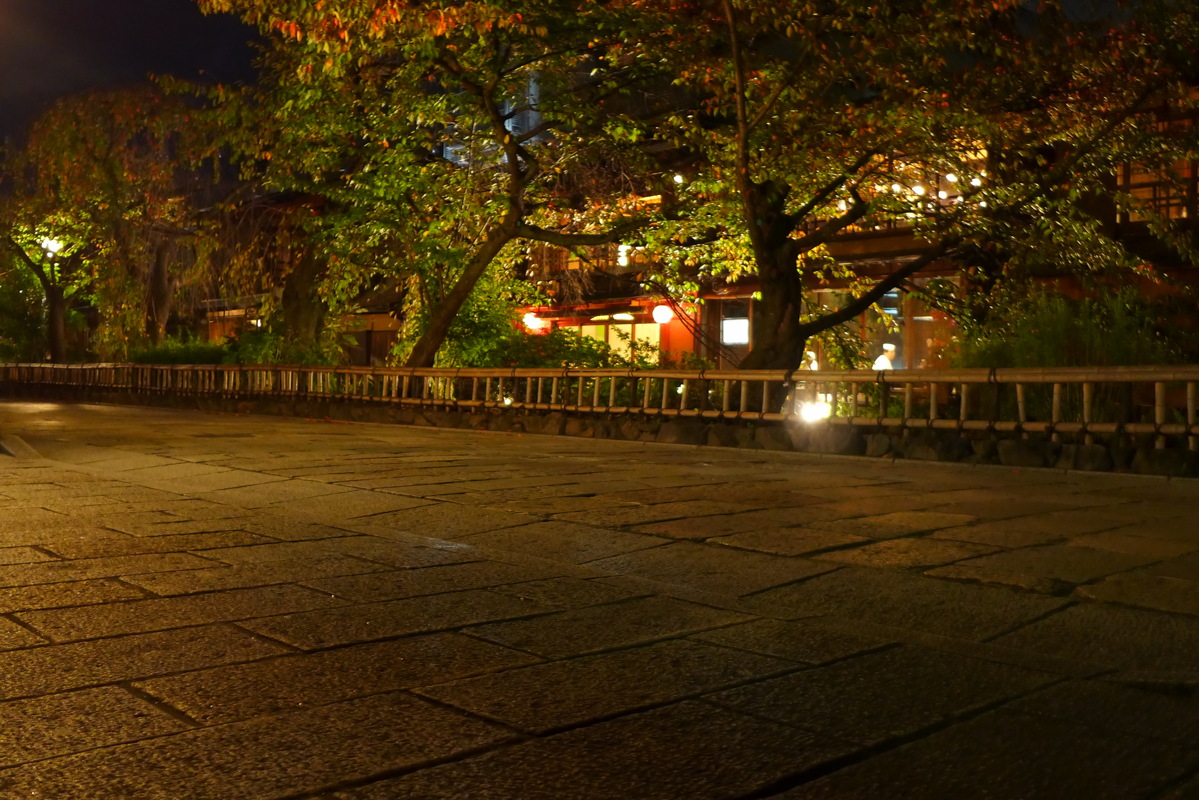 p1010557.jpg