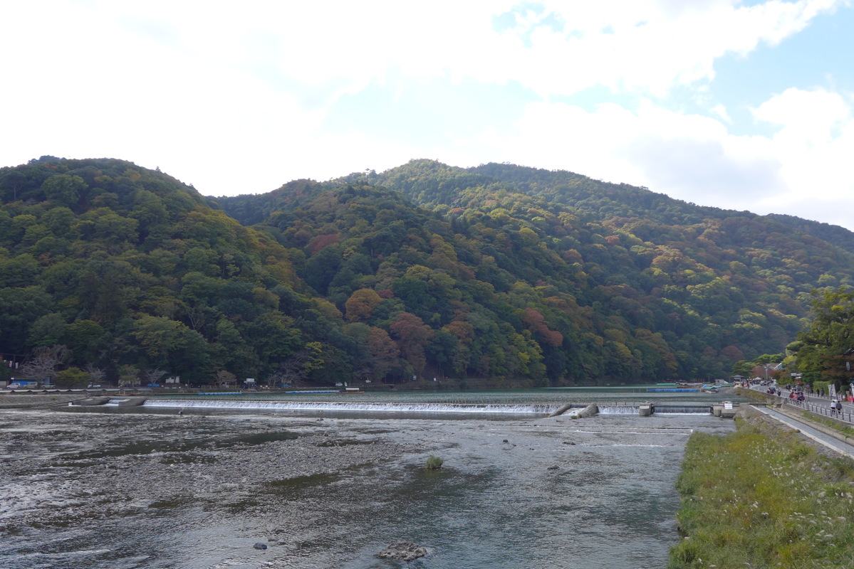 p1010600.jpg