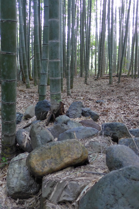 p1010614.jpg