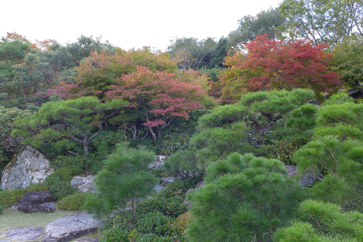 p1010617.jpg