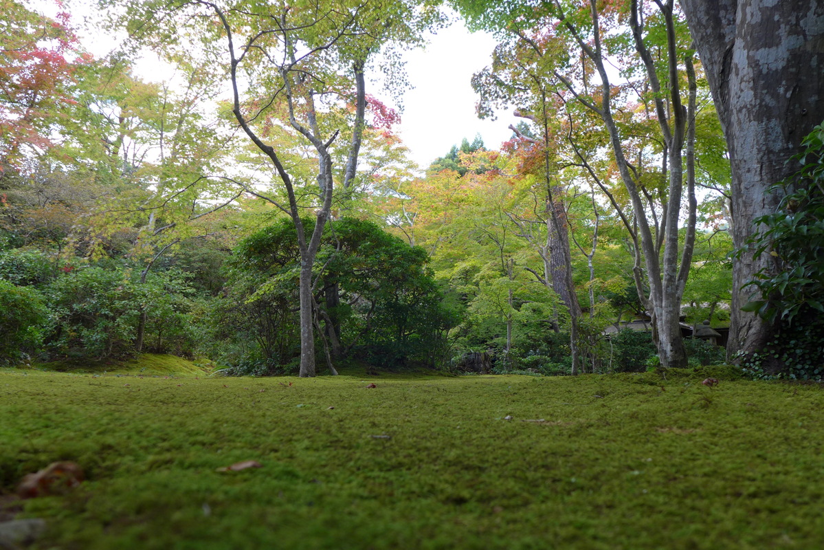 p1010631.jpg