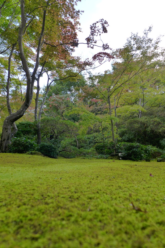 p1010633.jpg