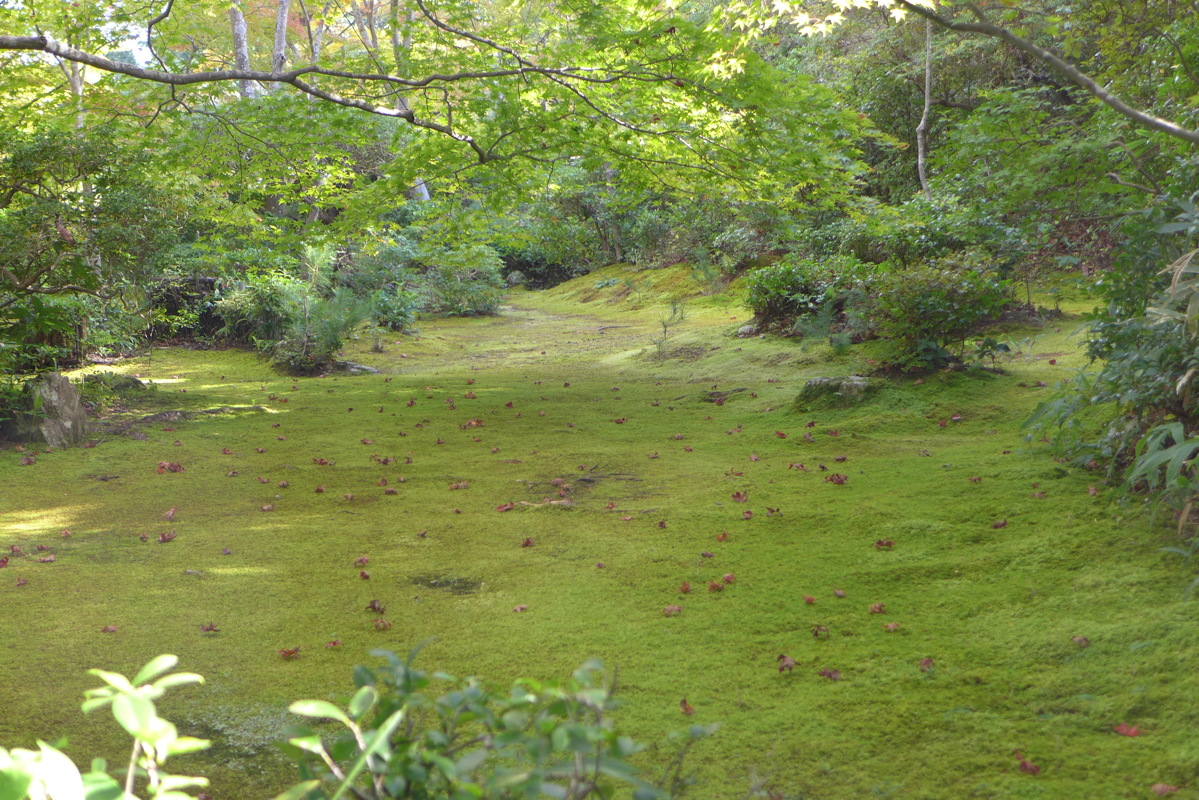 p1010638.jpg