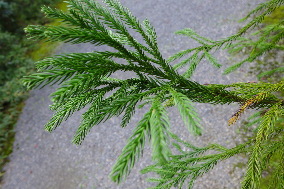 p1010647.jpg