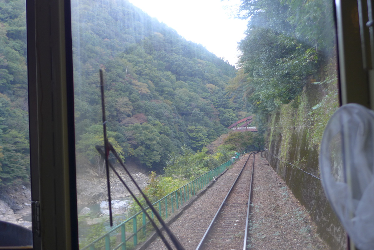 p1010660.jpg