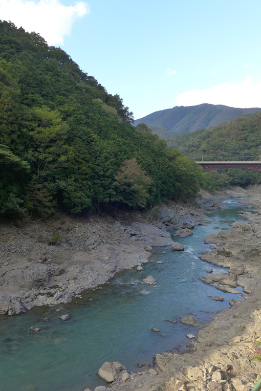 p1010669.jpg