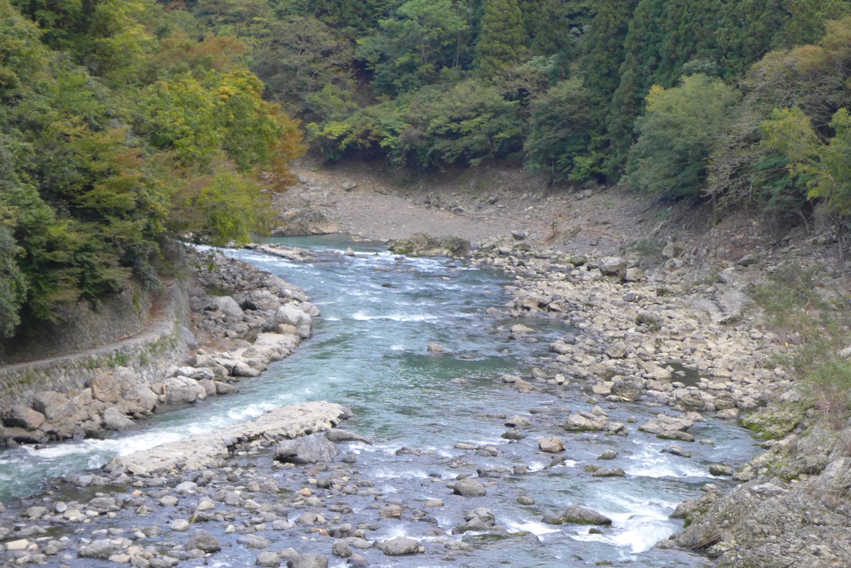 p1010676.jpg