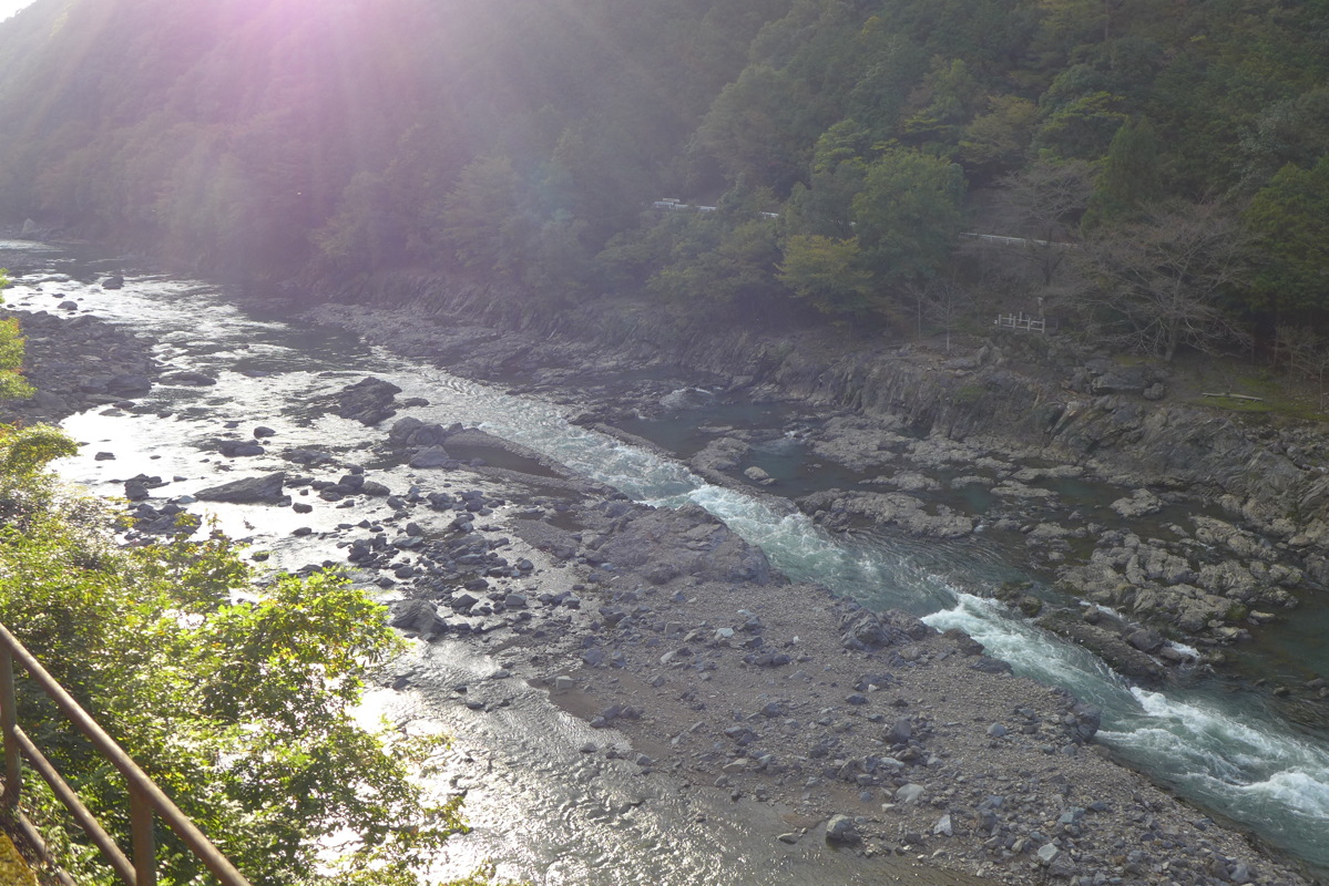 p1010681.jpg