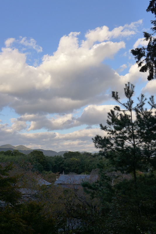 p1010699.jpg
