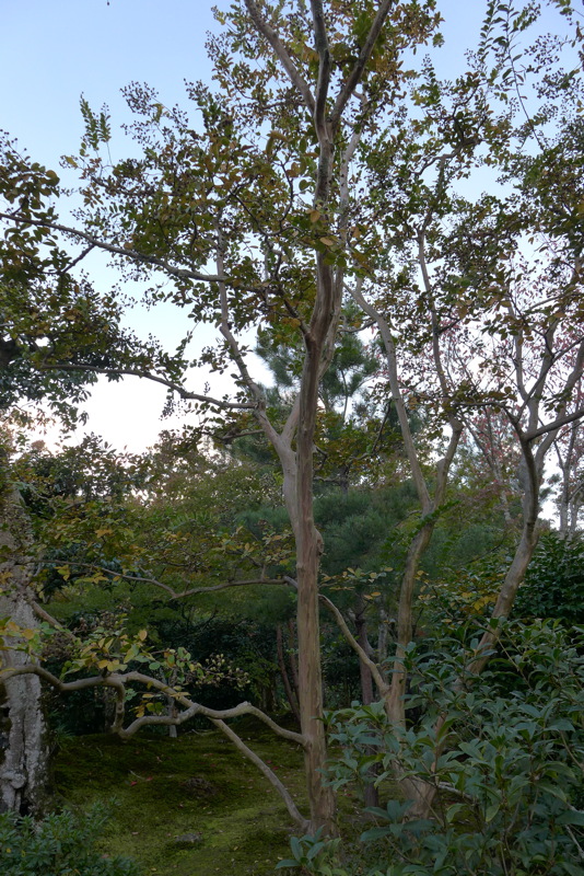 p1010701.jpg
