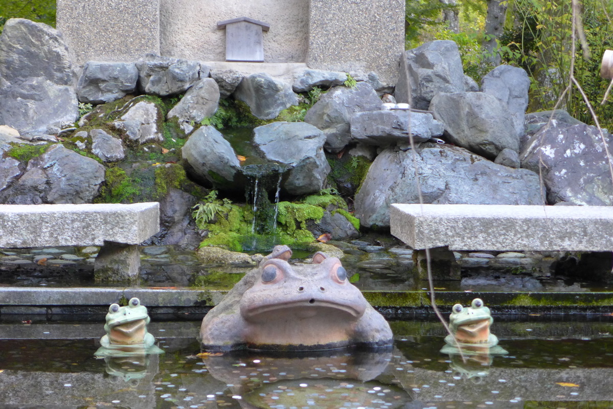 p1010716.jpg