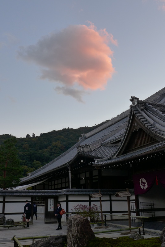 p1010728.jpg