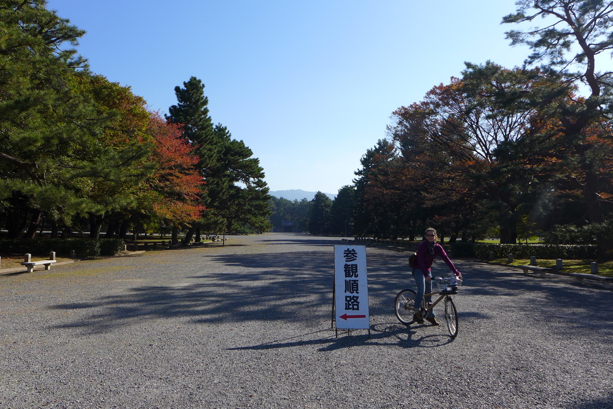 p1010773.jpg