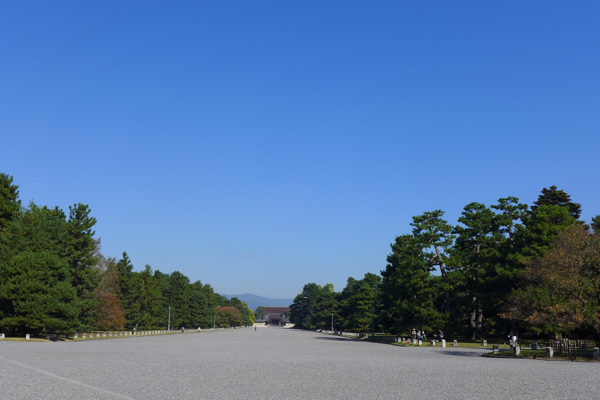 p1010775.jpg