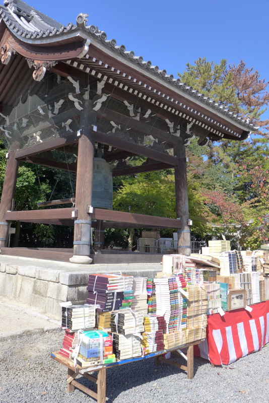 p1010784.jpg