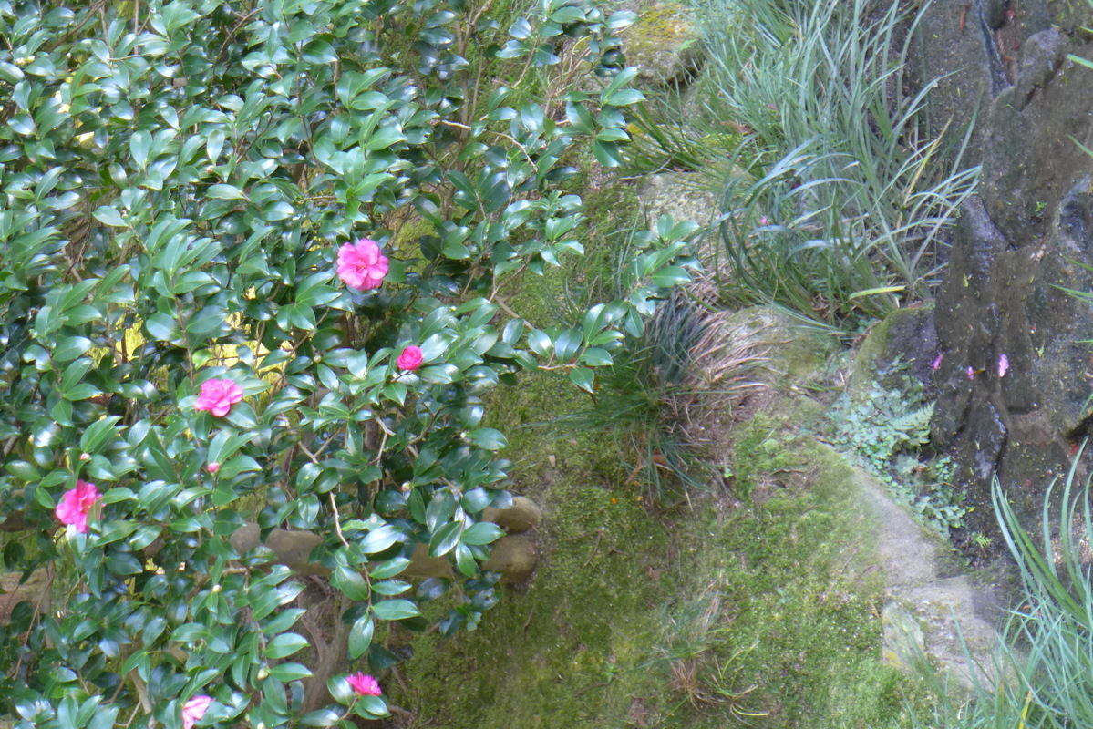 p1010812.jpg