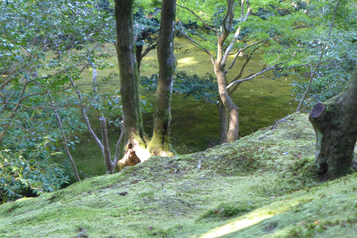 p1010814.jpg