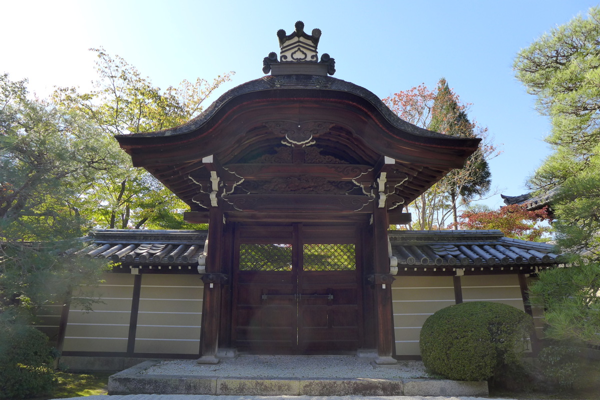 p1010830.jpg