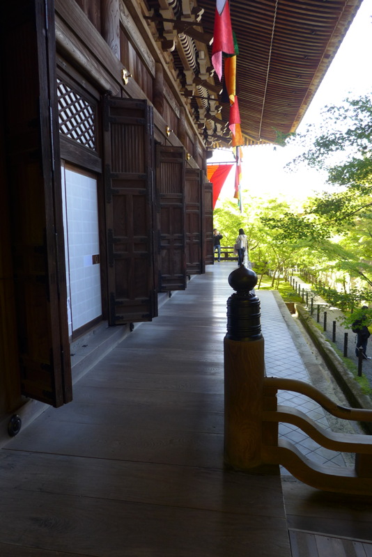 p1010833.jpg
