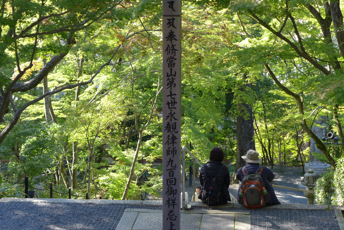 p1010839.jpg