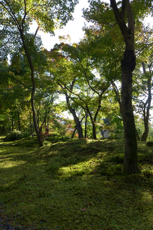 p1010847.jpg