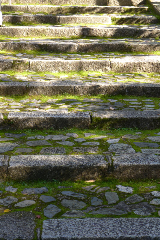 p1010853.jpg
