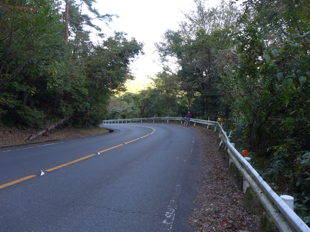 p1010876.jpg