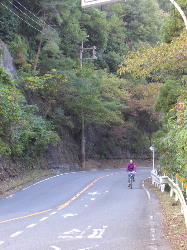p1010877.jpg