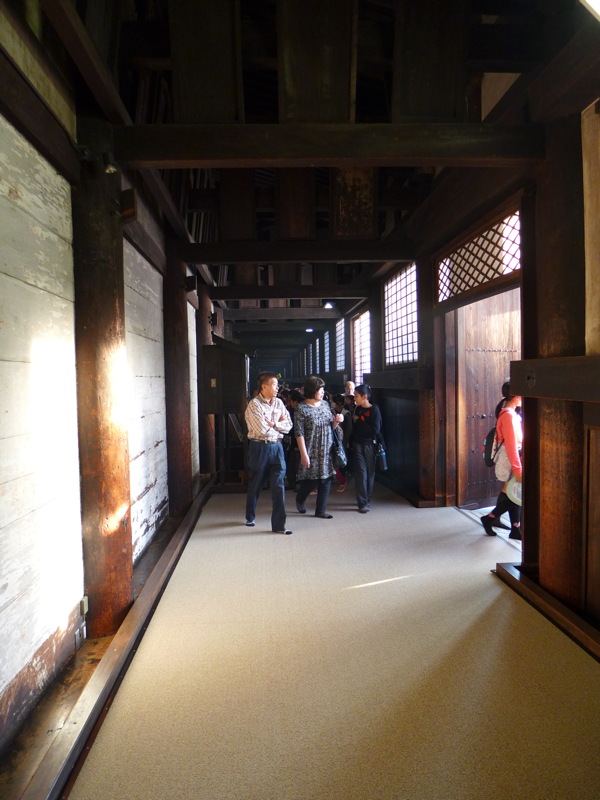 p1010879.jpg