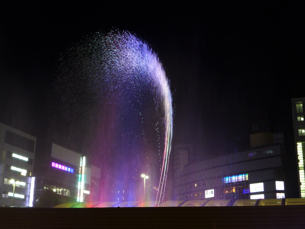 p1010960.jpg