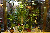 p1010505.jpg