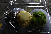 p1010553.jpg