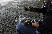 p1010555.jpg