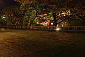 p1010557.jpg