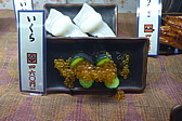 p1010588.jpg