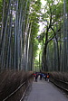 p1010610.jpg