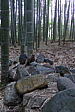 p1010614.jpg